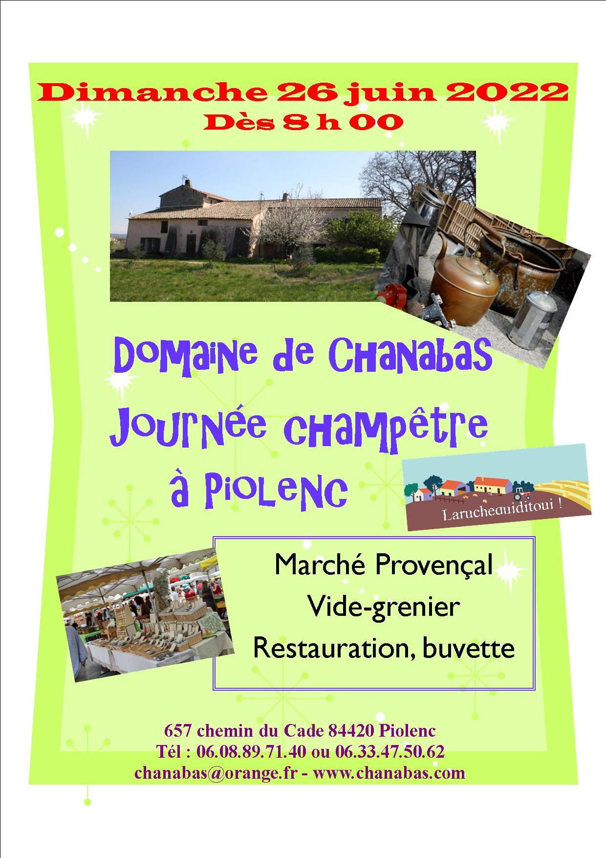 Affiche journee champetre